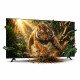 JVC TV 55 LT-55N7125